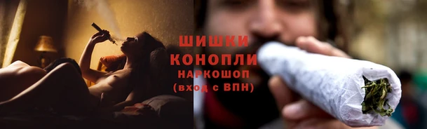 apvp Арсеньев